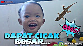 LAGI ASYIK MAIN DISAMPERIN CICAK | tolong!! cicak besar nya nggak mau pergi | dzaky family