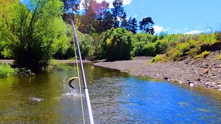 SMALL STREAM - BIG BROWN TROUT - the tactics we use in challenging brown trout streams