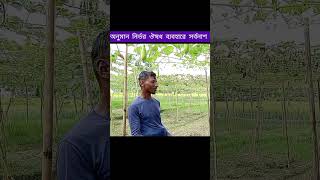 ফসলের সমস্যায় অনুমান নির্ভর ঔষধ ব্যবহার করবেন না #কৃষি #agriculturalsystem #gardening #agriculture