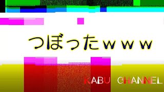 【ぶさかわエキゾチックショートヘア】かーちゃんが壺ったｗｗｗ