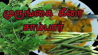 முருங்கைக் கீரை சாம்பார் செய்வது எப்படி?murungai keerai sambar seivathu eppadi?