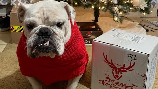 Vlogmas Day 15: Secret Bullie Exchange With Bullies 2 The Rescue Friends