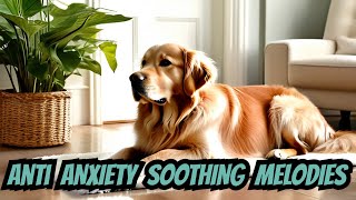 Healing Dog & Cat Music - Calm Your Dog & cat and let Them Have a Sound Sleep