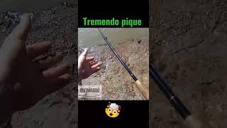 #pique #pesca #entretenimiento #pescaesportiva #naturaleza #fish