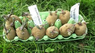 Ards Allotments March