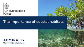 The importance of coastal habitats | UK Hydrographic Office