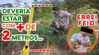 🔴 Erro GRAVE que faz a Moringa não crescer, CUIDADO!