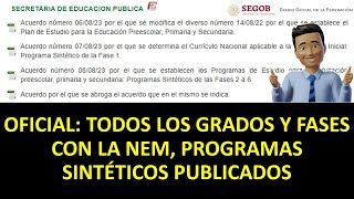 OFICIAL: TODOS LOS GRADOS Y FASES CON LA NEM, PROGRAMAS SINTÉTICOS PUBLICADOS