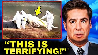 Scientists Expose a HORRIFYING Discovery In The Euphrates River!