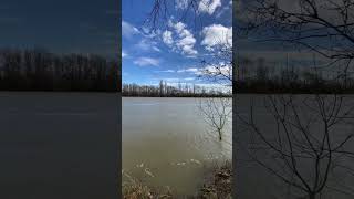 La Saône in February #lasaône #lasaone #river #jpkallio #tellmewhy #indiefolk #macon #maçonnerie