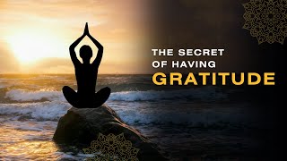 The Power of Daily Gratitude Rituals