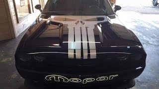 Challenger Punisher Hood Decal