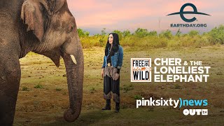 CHER HELPS RELOCATE ELEPHANT FOR EARTH DAY