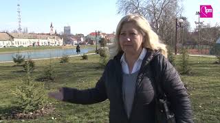 OZELJENJAVANE GRADA I NASELJNIH MESTA JKP "ČISTOĆA I ZELENILO" ZRENJANIN