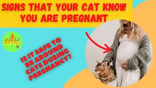 My Cat Can Detect Pregnancy in Women - Here's How!