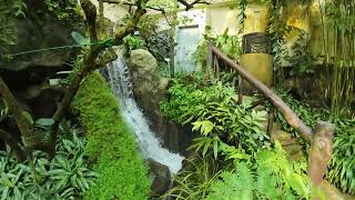 Relaxing White Noise Artificial tropical rainforest