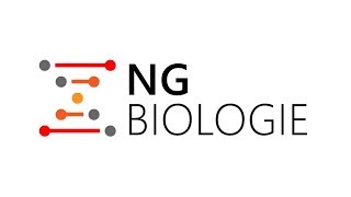 Welkom bij NGbiologie. Uitlegvideo's en examentraining!