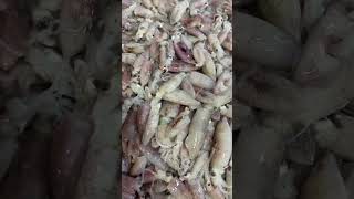 Malabon Fishport part 1 #malabon #fish