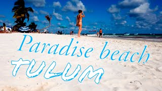 Tulum Paradise beach Mexico Playa Paraiso 2020 Caribbean coastline seaweed/Sargassum?