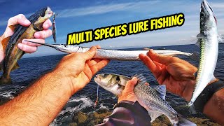 Multi Species Lure Fishing in Cornwall. How to catch Bass, Pollack, Mackerel & Needle Fish!