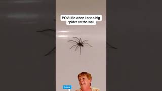 When you’re afraid of spiders #spiders #arachnophobia #FearOfSpiders #FacingMyFears #shorts