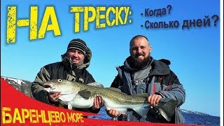 Когда и на сколько дней приезжать на морскую рыбалку в Баренцевом море. Ловля трески!