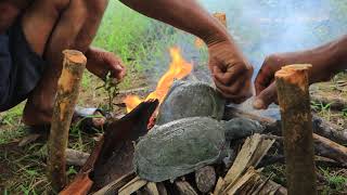 Cooking Turtle Food To Eat