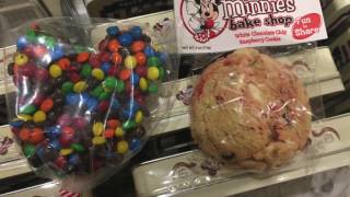 Main Street Confectionery and the Ferry Ride at Magic Kingdom Walt Disney World 06-11-2017