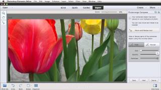 Photoshop Elements 13 New Features Review: Photomerge Compose