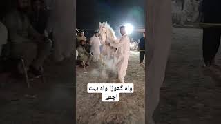 واہ گھوڑا واہ بہت اچھے #trending #horse #horseshow #horselover