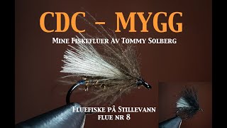 CDC MYGG. Fluefiske på stillevann 2022, MYGG, tørrflue, fluebinding og imitasjonsfluefiske