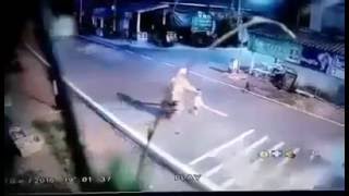 Mother Tries Unsuccessfully To Save Kid