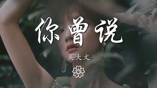 吳大文 - 你曾說『你曾說我們別錯過』【動態歌詞Lyrics】