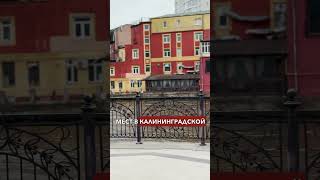 Рыбная деревня в Калининградской области #калининград39 #рыбнаядеревня #туризм #красота #мотивация