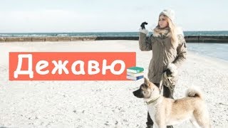 Вот, Почему Возникает Эффект Дежавю!