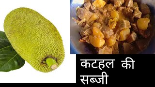 कटहल की सब्ज़ी बनाने का ऐसा स्वादिष्ट तरीका जो हेल्थी भी और टेस्टी भी| Jackfruit Kathal Ki Sabji