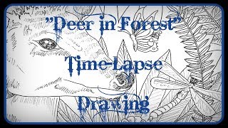 "Deer in Forest" - Time Lapse Drawing