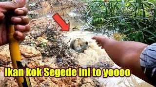 IKAN RAWA KOK SEGEDE INI TO YOOO ‼️ || Mancing betok monster