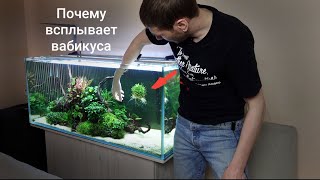 Почему всплывает вабикуса/Посадка растений новый способ