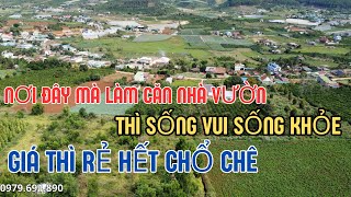 Bán đất tặng luôn vườn bơ | lô đất view cao thoáng DT 2600m2 có sẵn 400 thổ cư | giá rẻ