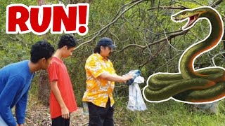 A Snake Was Caught Then THIS HAPPENED...😲 (Nature Video #4)