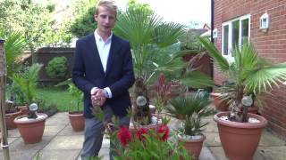 Welcome To RHS Chelsea 2016 | RHS Chelsea Flower Show | Jack Shilley