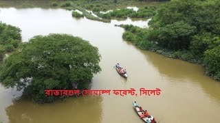 Ratargul Swamp Forest | রাতারগুল সিলেট | Best travel place in Sylhet |