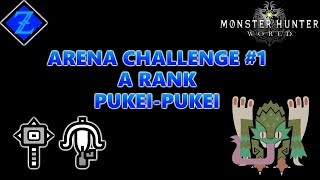 Monster Hunter: World - Arena Challenge 1: Pukei-Pukei - A RANK (No Commentary)