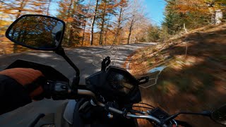 GREAT COLORS AUTUMN SUZUKI V-STROM 650 NARROW STREET AUSTRIA 🇦🇹 HASELRAST