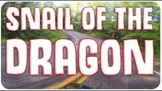 Dragon passes & shenanigans