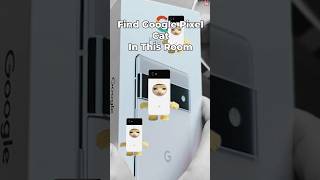 Google Pixel Cat Finding Challenge