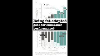 Part 1: Being Fat Adapted, Good for Performance?