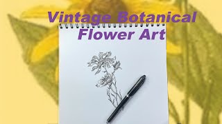 Vintage Botanical Drawing