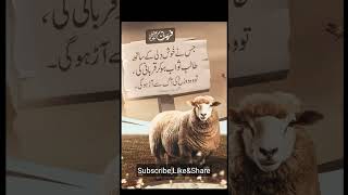 Qurbani kerna sawab #Qurbani2024 #viralvideo #hajj2024 #shortvideo